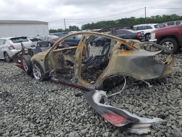 2023 TESLA MODEL Y - 7SAYGAEE8PF756103