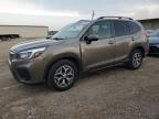2019 SUBARU FORESTER P - JF2SKAGC3KH509370