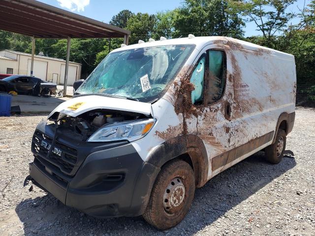 RAM PROMASTER