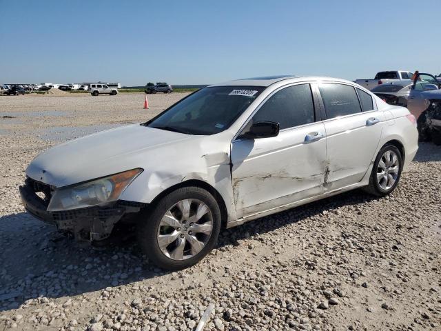 Vin: 1hgcp3f88aa004382, lot: 55613205, honda accord exl 2010 img_1