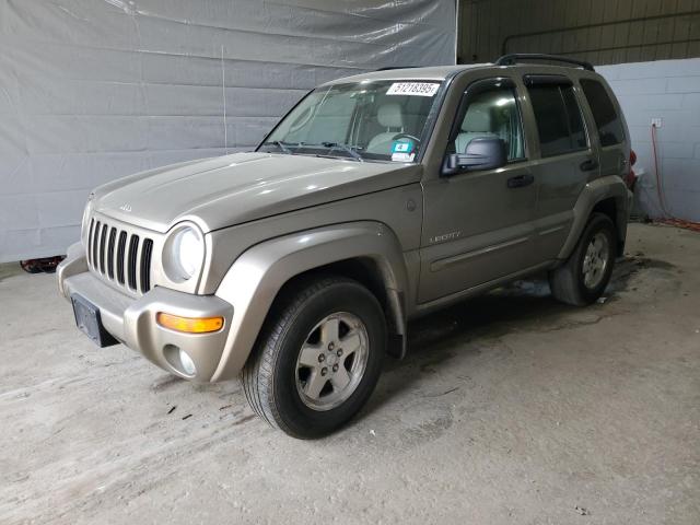 JEEP LIBERTY LI