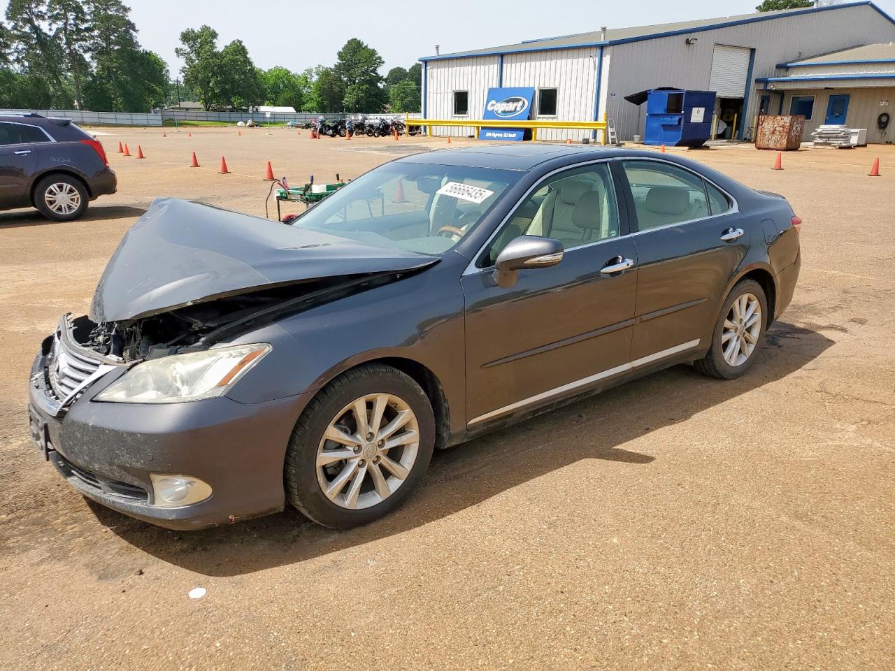 LEXUS ES 350