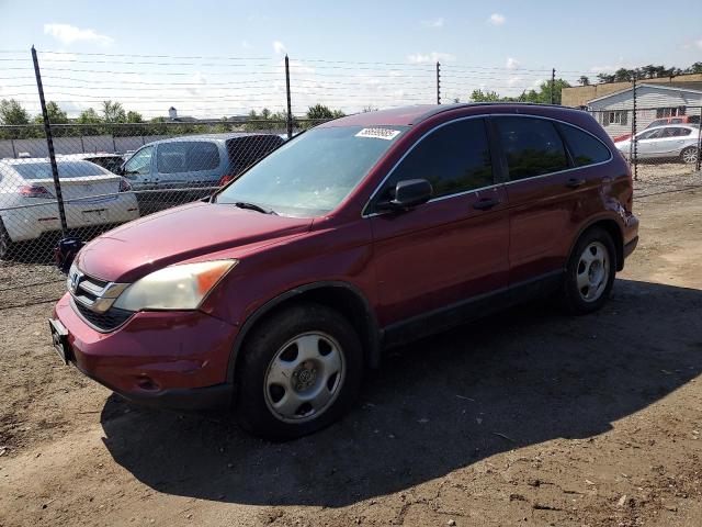 Vin: 5j6re4h34bl029754, lot: 58699985, honda crv lx 2011 img_1