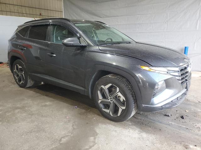 Vin: 5nmjfcae6ph243210, lot: 56204255, hyundai tucson sel 20234