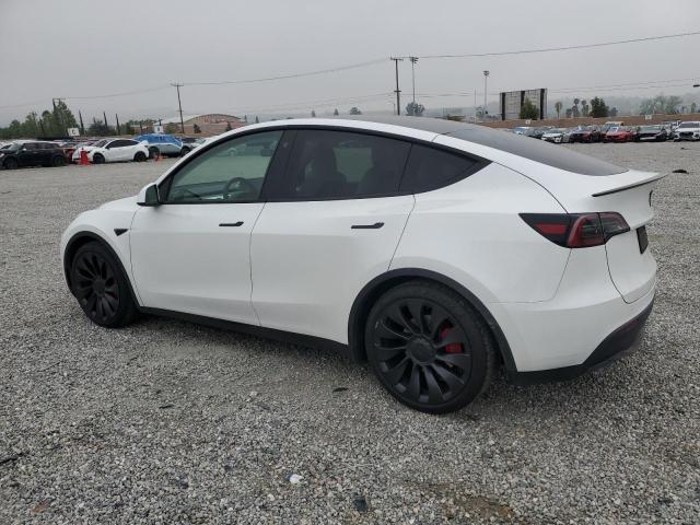 2023 TESLA MODEL Y - 7SAYGDEF7PF632513