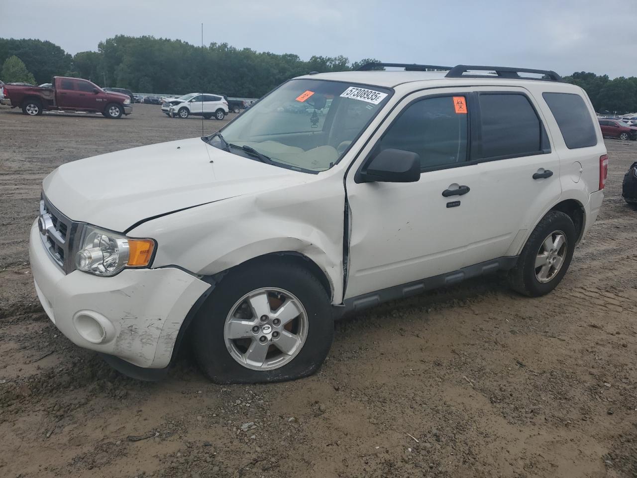 FORD ESCAPE XLT