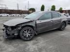 2024 TOYOTA CAMRY SE N - 4T1T11AK6RU891476