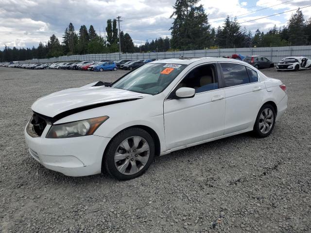 Vin: 1hgcp2f82aa092274, lot: 58128605, honda accord exl 2010 img_1