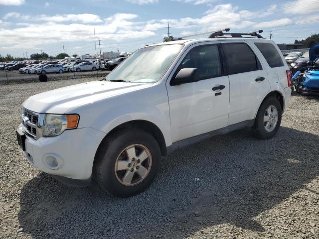 FORD ESCAPE XLT
