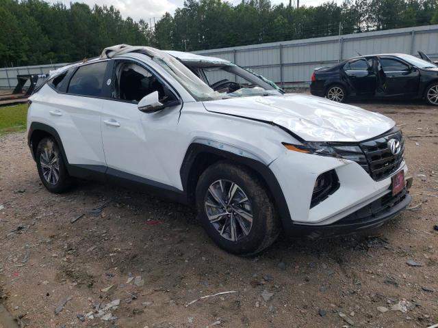 Vin: km8jbca14pu131888, lot: 57106165, hyundai tucson blue 20234