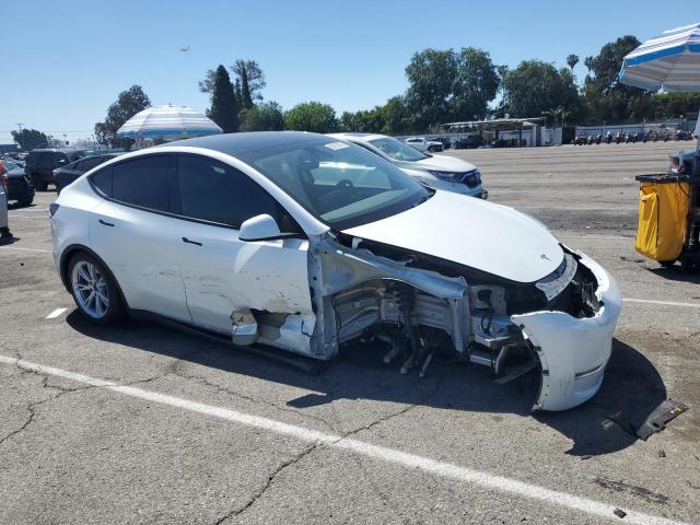 Vin: 7saygdee3pa064507, lot: 55875975, tesla model y 20234