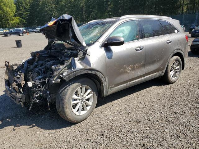 Vin: 5xypgda59kg450531, lot: 55347645, kia sorento lx 2019 img_1