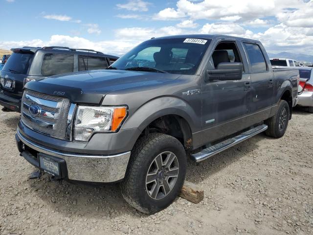 Vin: 1ftfw1et1bfb06250, lot: 57353175, ford f-150 supercrew 2011 img_1