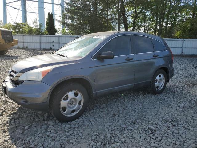 Vin: 5j6re4h36al031259, lot: 56564065, honda crv lx 2010 img_1