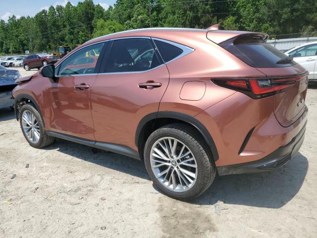 Vin: 2t2gkcez3sc040711, lot: 56729615, lexus nx 350h ba 350h base 20252