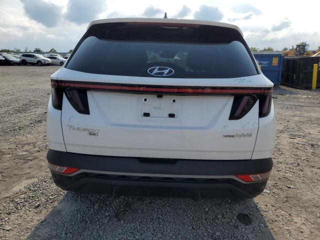 2023 HYUNDAI TUCSON BLU KM8JBCA10PU128714