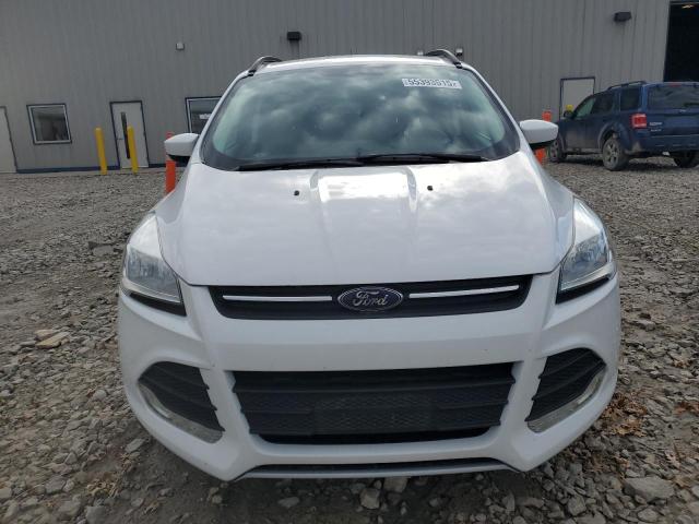 2014 FORD ESCAPE SE - 1FMCU0GX0EUC17869