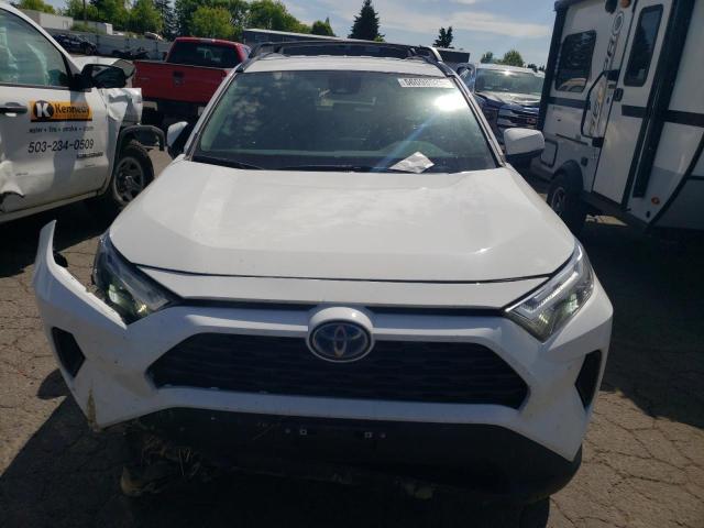 2024 TOYOTA RAV4 XLE - 2T3RWRFV1RW219703