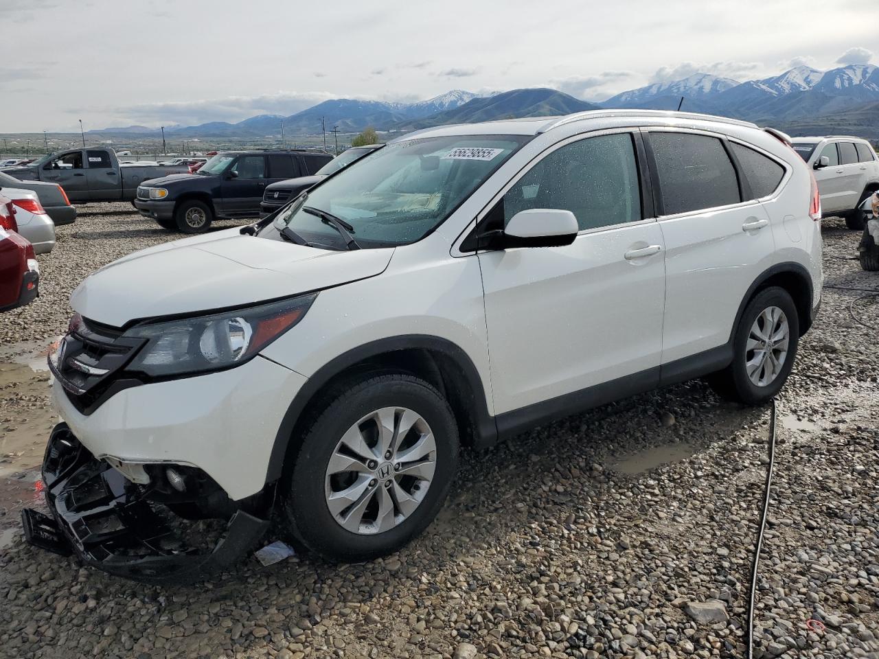HONDA CR-V EXL