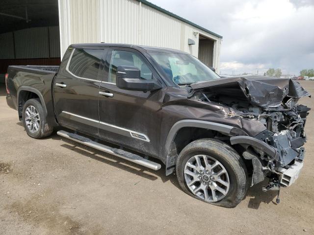 Vin: 5tfma5db2px107365, lot: 51952865, toyota tundra crewmax platinum 20234