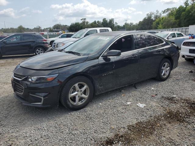 Vin: 1g1zb5st8hf290494, lot: 56104155, chevrolet malibu ls 2017 img_1