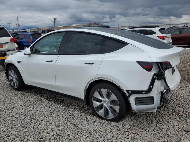 2023 TESLA MODEL Y 7SAYGAEE9PF584339