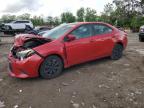 Top Destinations for Shipping Cars from the USA
