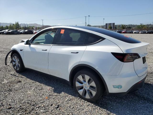 2023 TESLA MODEL Y - 7SAYGDEE2PA184427