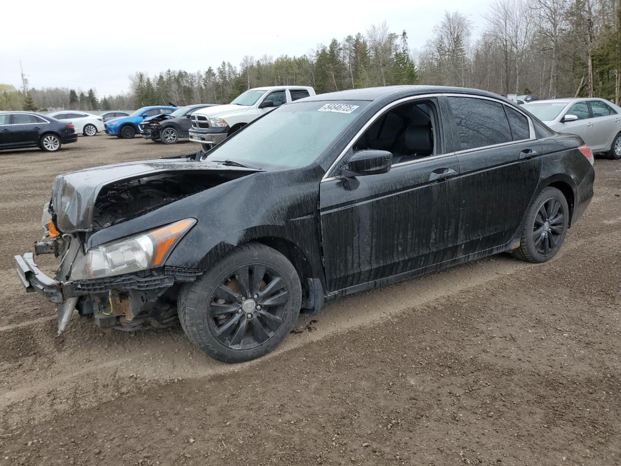 HONDA ACCORD EXL