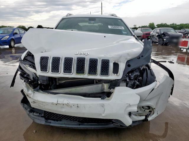 2019 JEEP CHEROKEE L 1C4PJLLB3KD204121