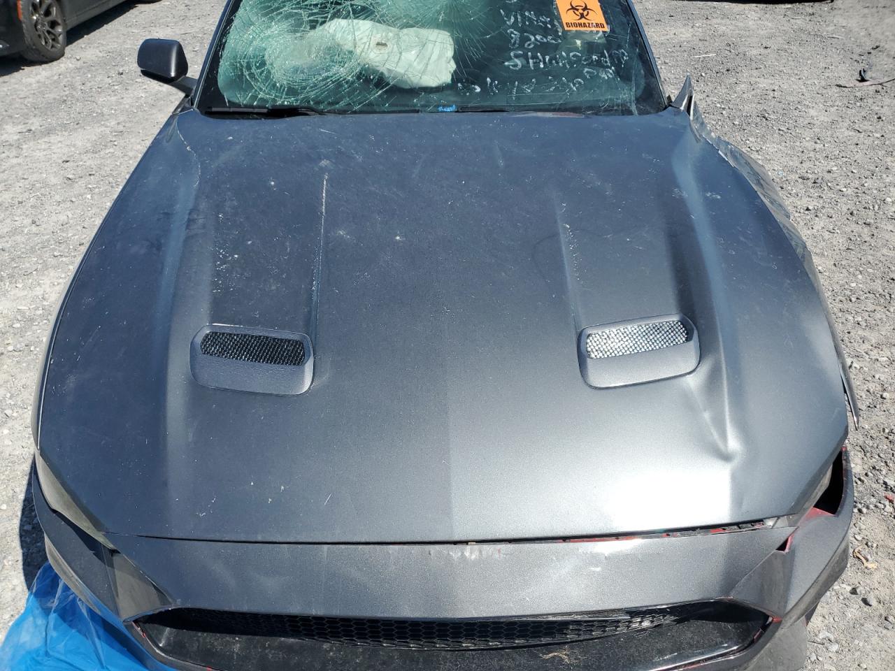 Lot #3301807344 2022 FORD MUSTANG