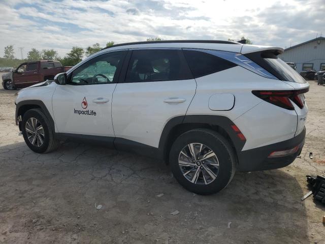 Vin: km8jbcd15ru194268, lot: 58512875, hyundai tucson blue 20242