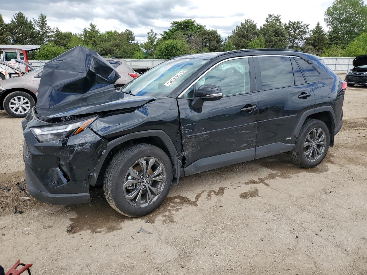 TOYOTA RAV4 XLE PREMIUM