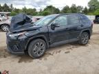 2024 TOYOTA RAV4 XLE P - 4T3B6RFV8RU162398