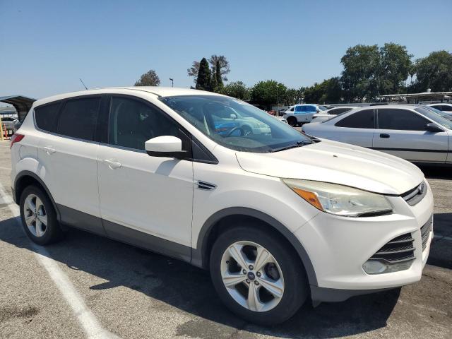 Vin: 1fmcu0gx7duc71197, lot: 56901545, ford escape se 20134