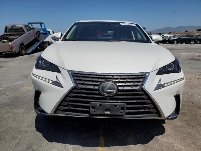 2019 LEXUS NX 300 BAS - JTJYARBZ6K2119949