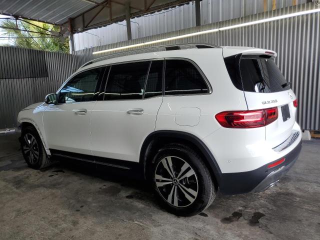 Vin: w1n4m4gb0rw354253, lot: 58738575, mercedes-benz glb-class 250 20242