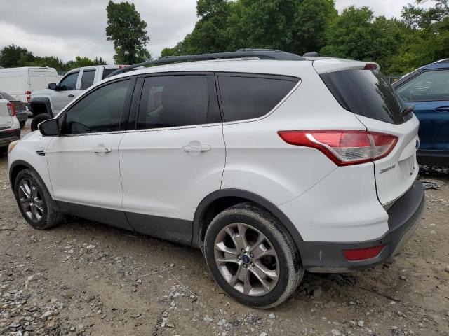 Vin: 1fmcu0gxxfua21889, lot: 58753065, ford escape se 20152