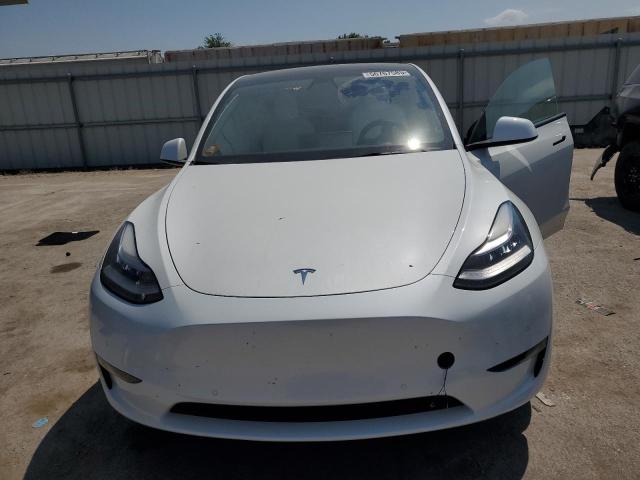 2021 TESLA MODEL Y - 5YJYGDEE6MF261229