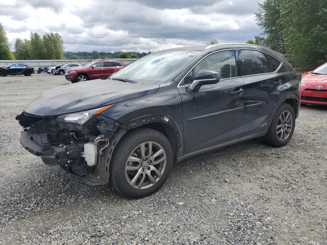 LEXUS NX 300H
