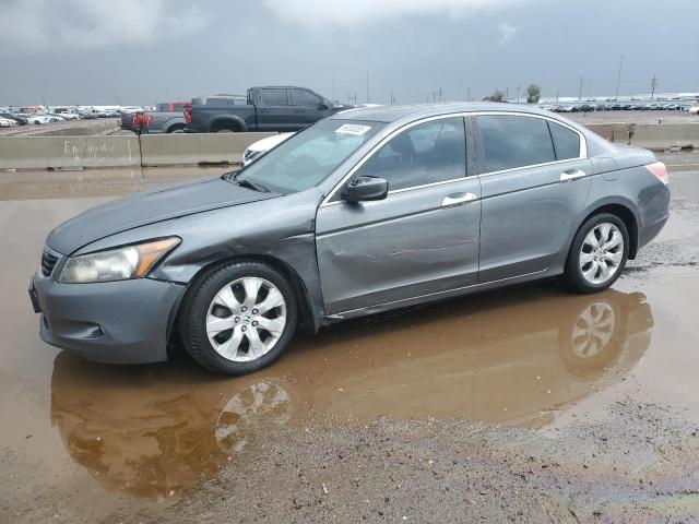 2009 HONDA ACCORD EXL #3156760688