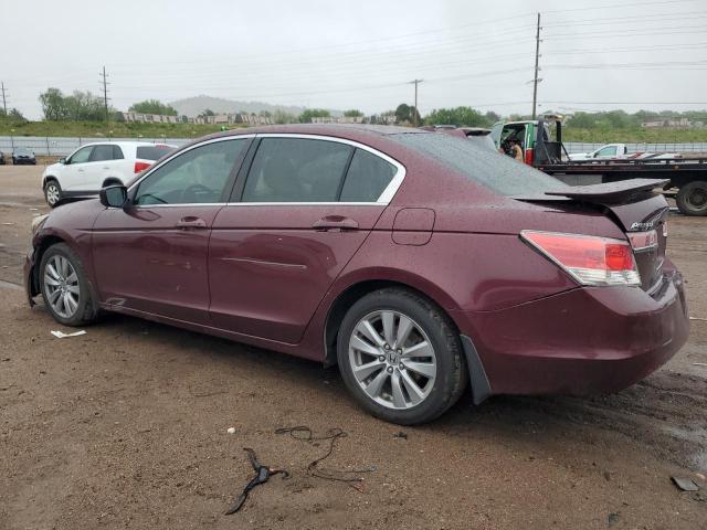 Vin: 1hgcp2f81ba131616, lot: 58096845, honda accord exl 20112