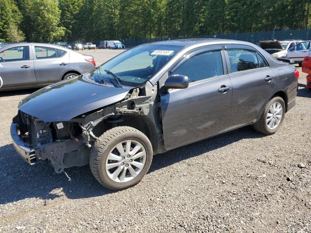 Vin: 1nxbu4ee8az234384, lot: 58852495, toyota corolla base 2010 img_1