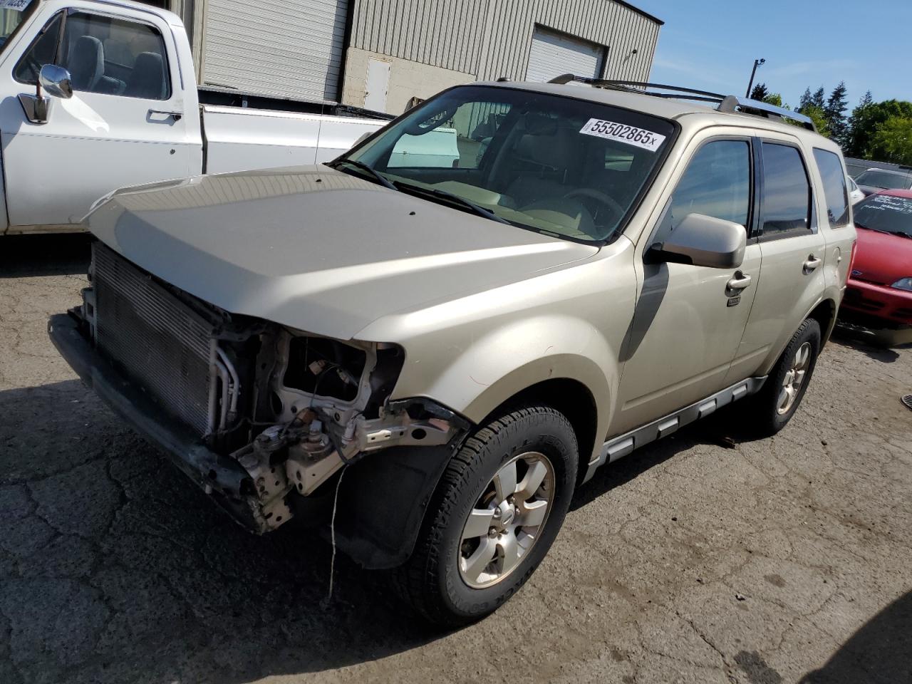 Lot #3150974023 2011 FORD ESCAPE LIM