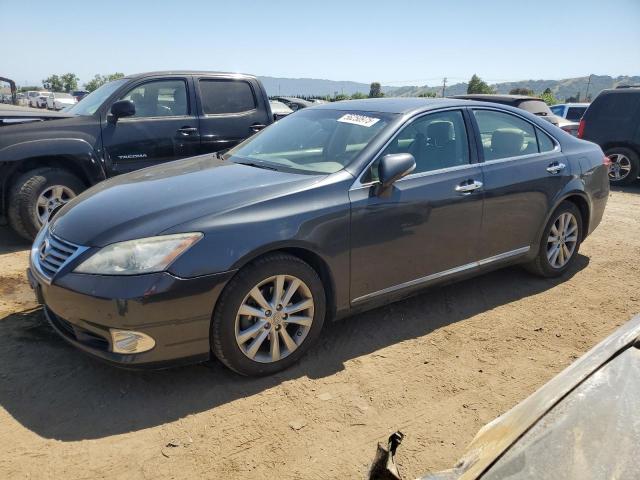 Vin: jthbk1eg1b2464547, lot: 56250975, lexus es350 350 2011 img_1