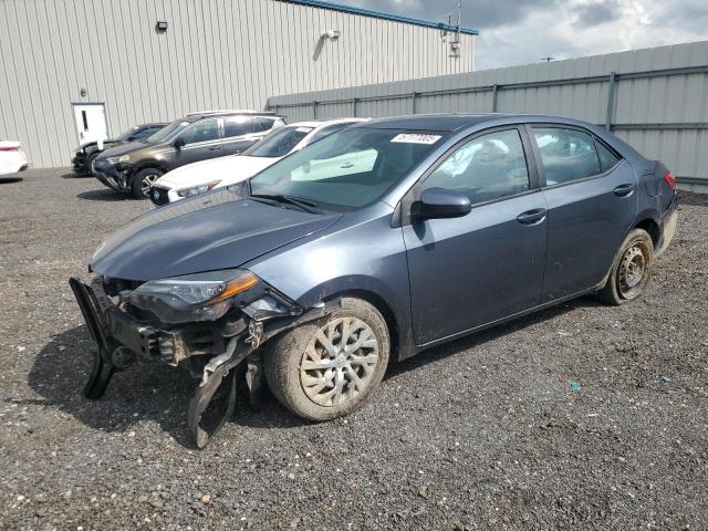 Vin: 2t1burhe5hc887176, lot: 57177005, toyota corolla l 2017 img_1