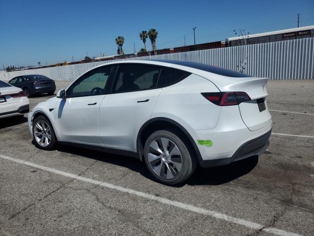 Vin: 7saygdee3pa064507, lot: 55875975, tesla model y 20232