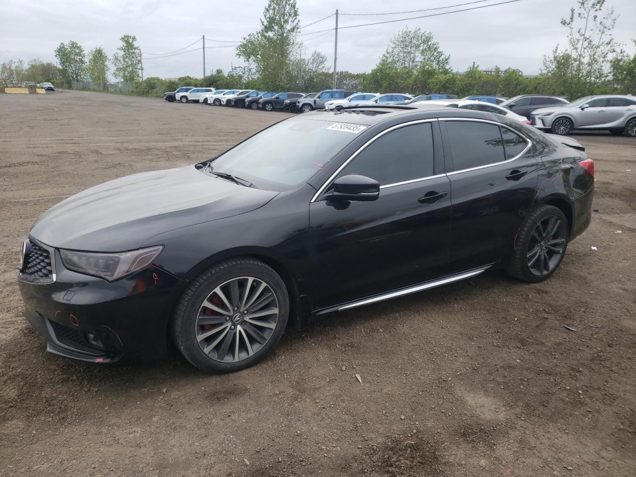 ACURA TLX ADVANCE