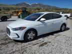 2017 HYUNDAI ELANTRA SE - 5NPD74LF1HH182164