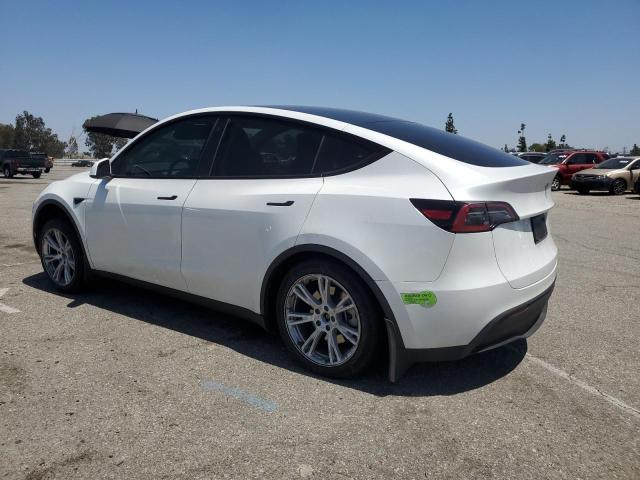 2023 TESLA MODEL Y 7SAYGDEE3PA065754